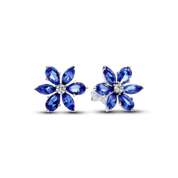 Pandora Timeless Sparkling Herbarium Cluster tappikorvakorut, hopea, 292407C01