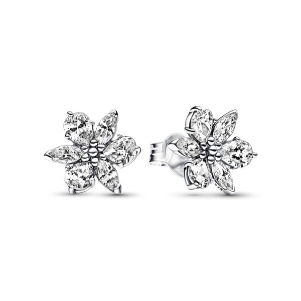 Pandora Timeless Sparkling Herbarium Cluster tappikorvakorut, hopea, 292633C01