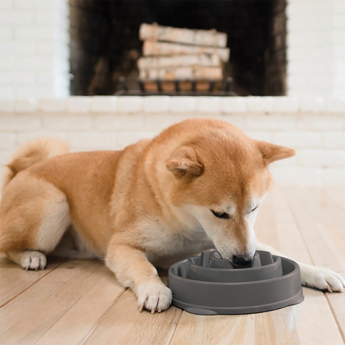 Ahmimisenestokuppi Outward Hound Drop M
