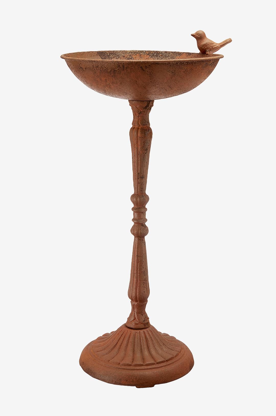 Lintuallas Roya, 49x23 cm