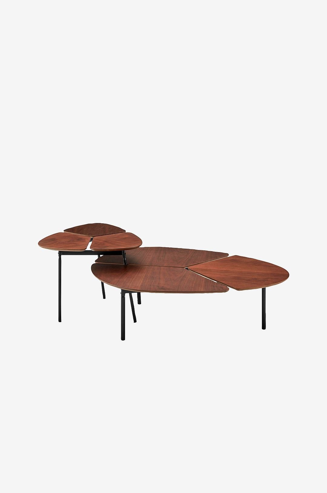 Loft24  Lyra, 2 kpl
