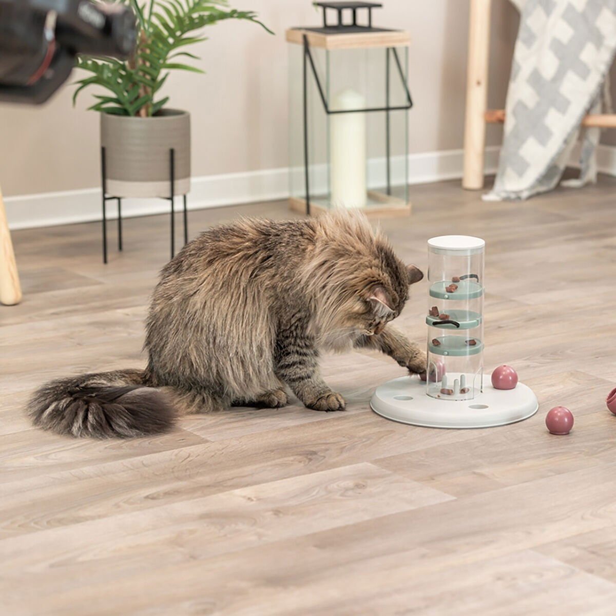 Trixie Cat Activity Gambling Tower