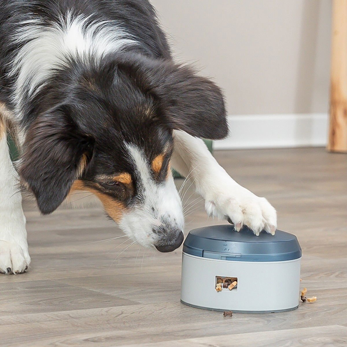 Trixie Dog Activity Buzzer