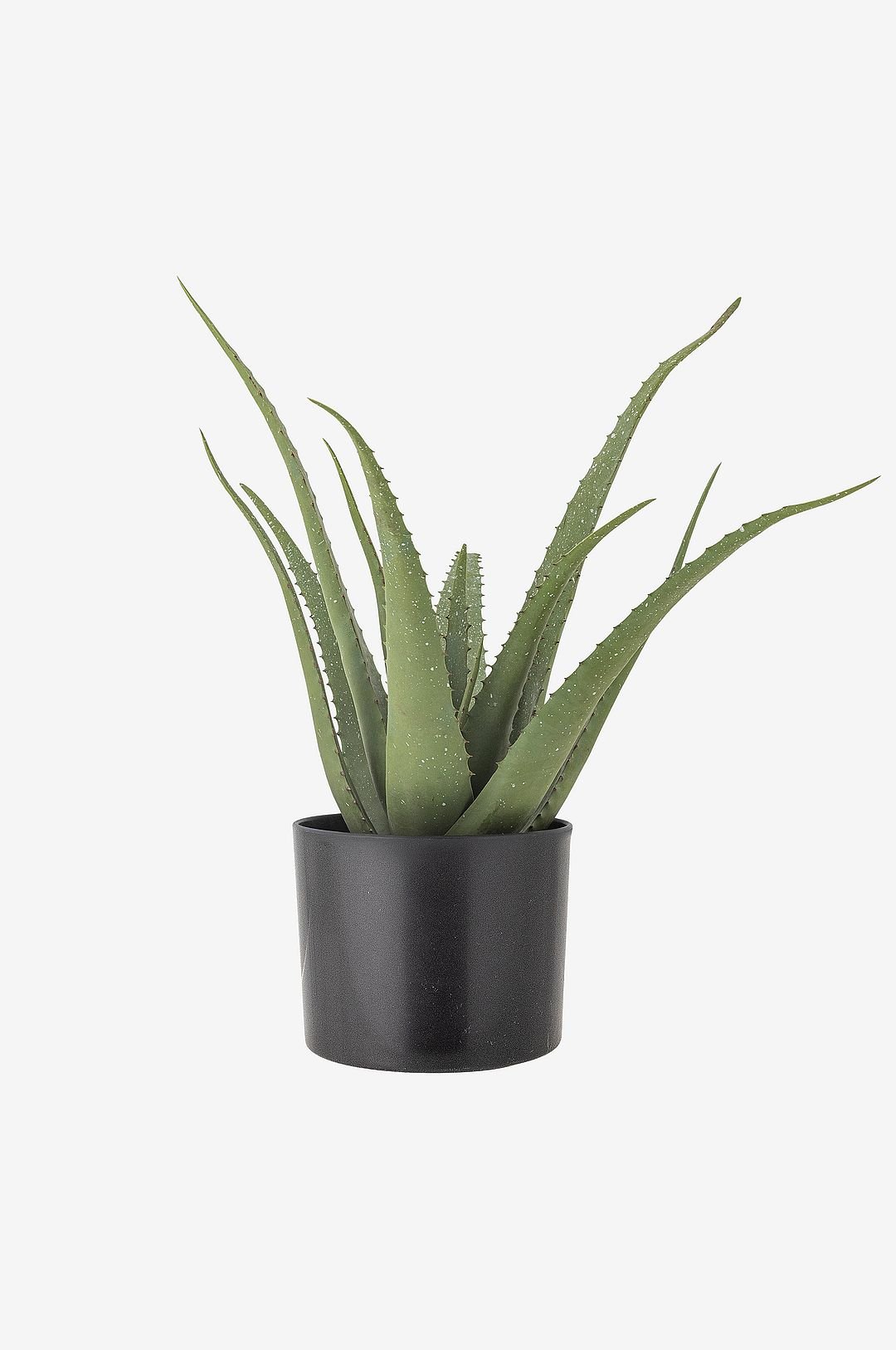 Bloomingville Aloe Kasvi
