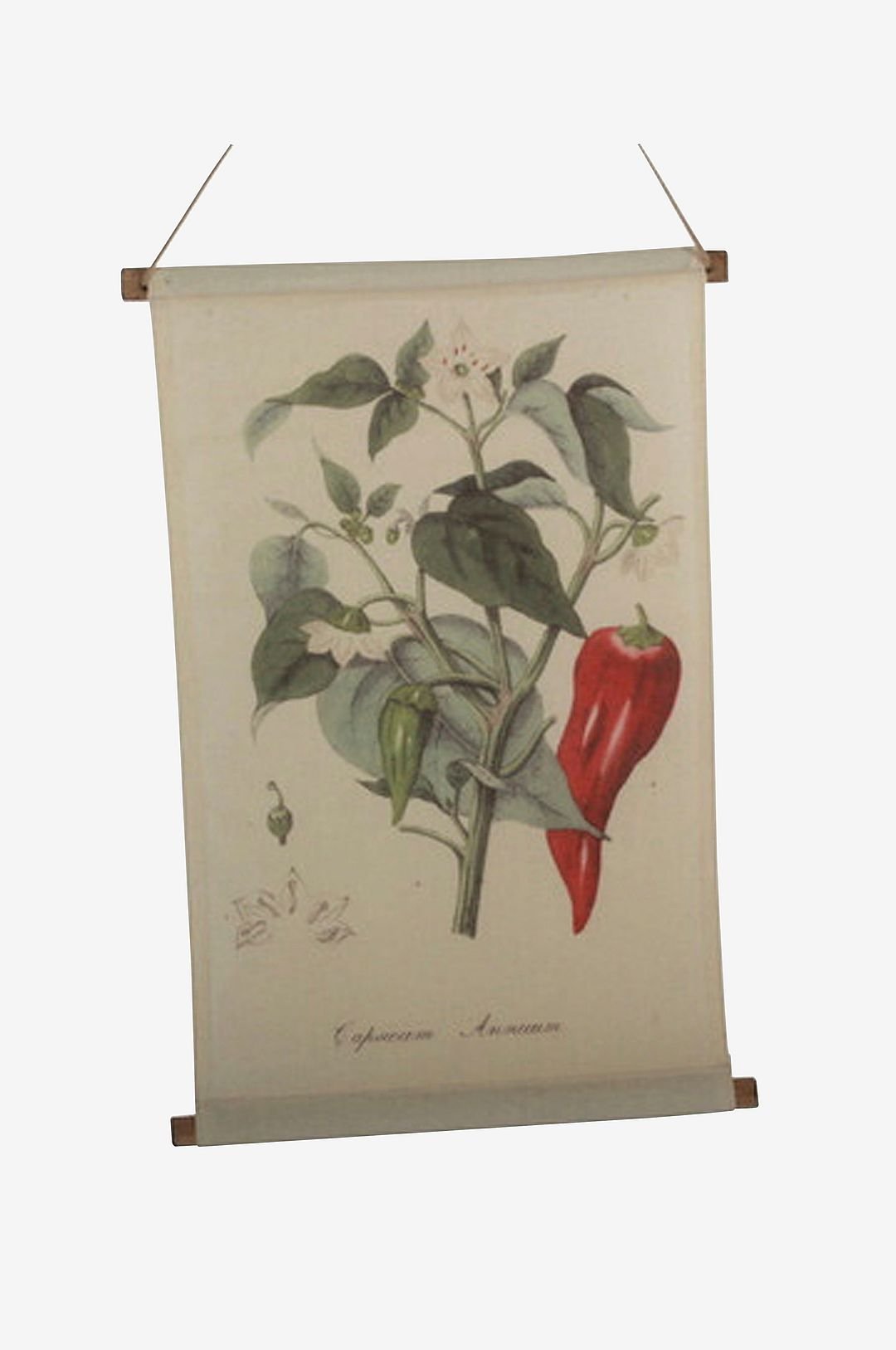 Seinälle ripustettava Chili