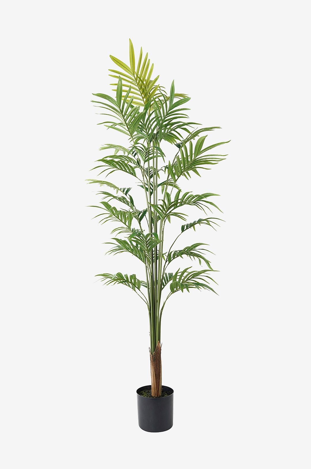 Tekokasvi Gold Palm Tree suuri