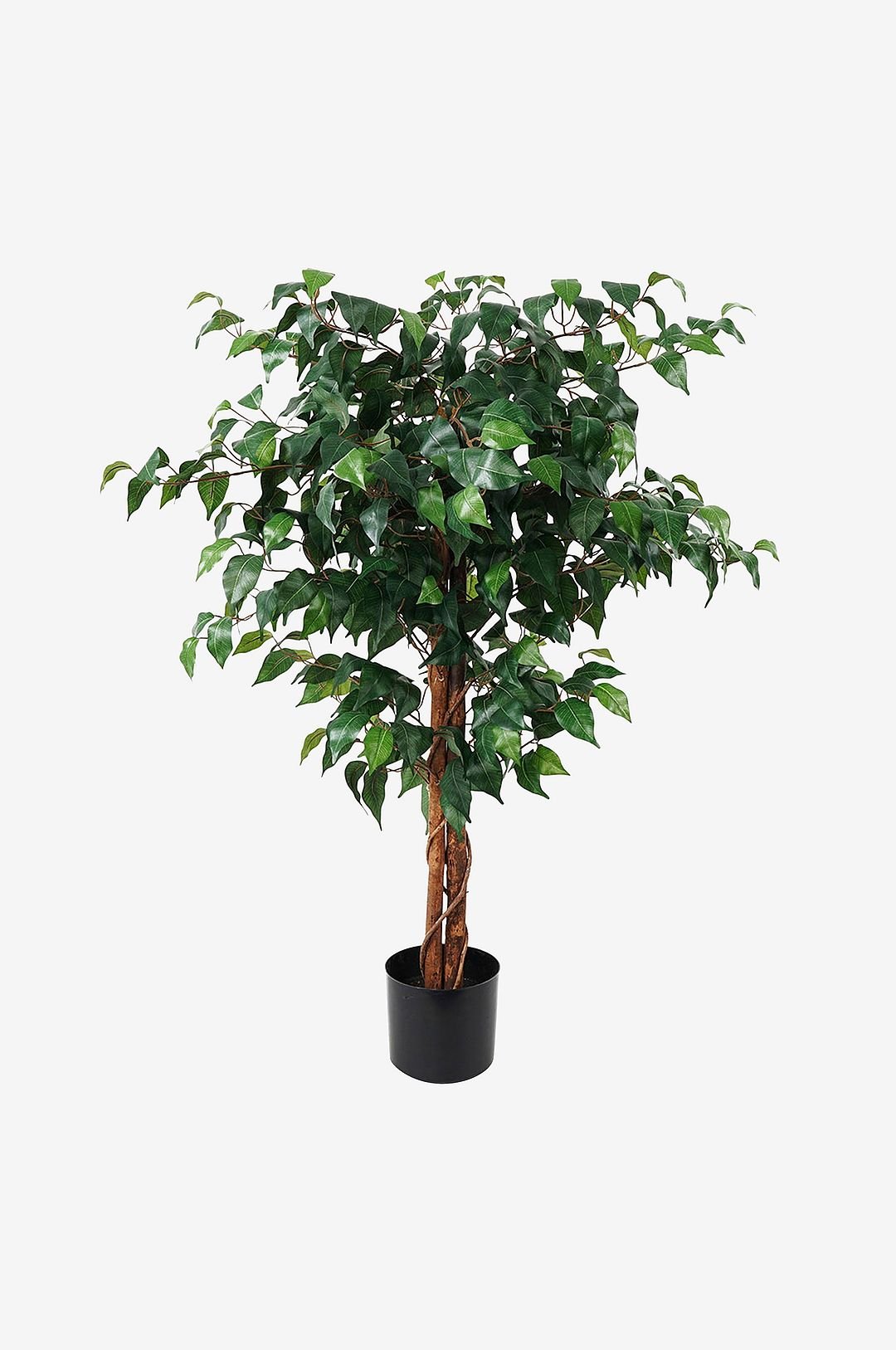 Keinotekoinen kasvi Fig Ficus