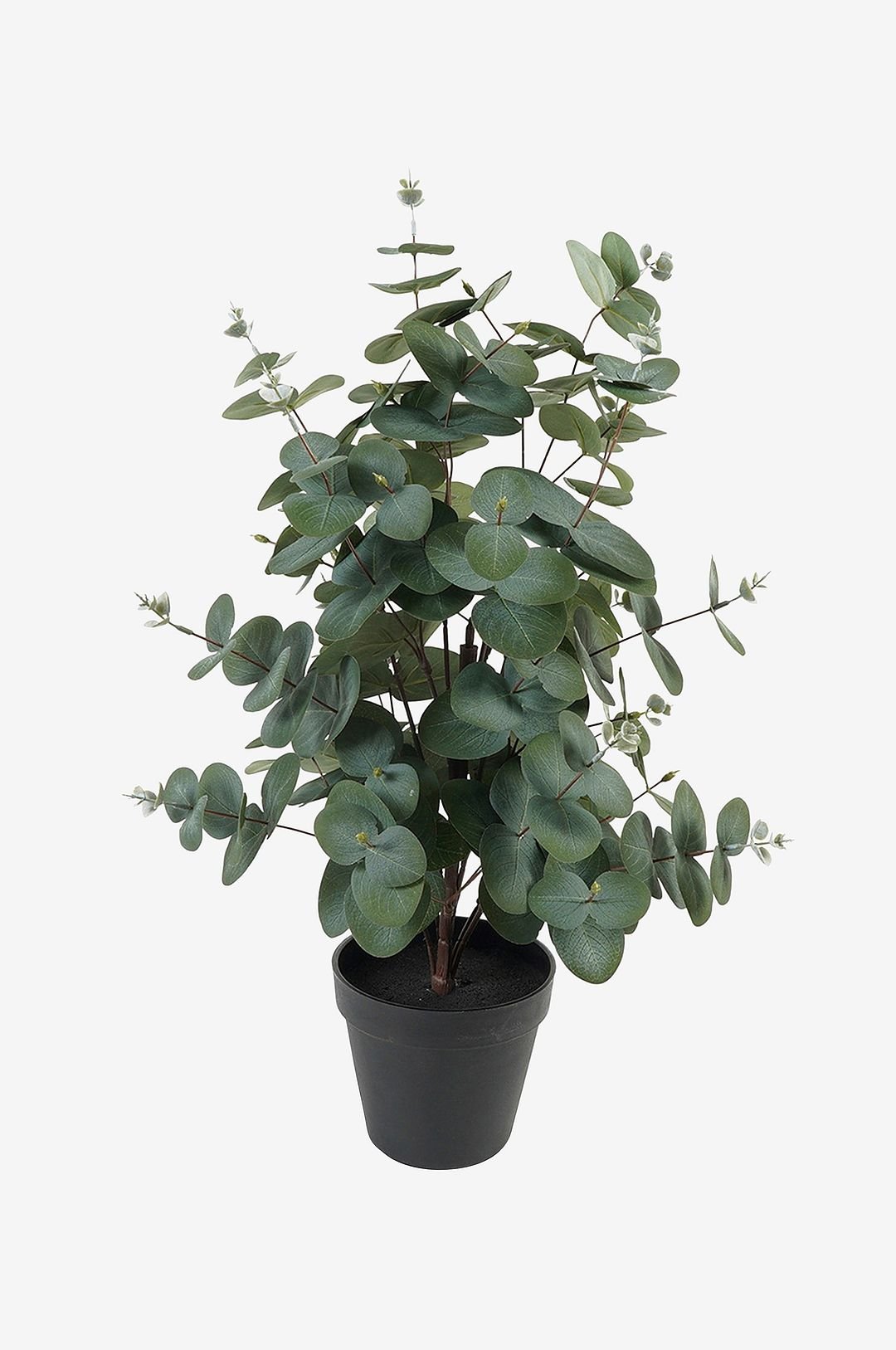 Keinotekoinen kasvi Eucalyptus Leaf