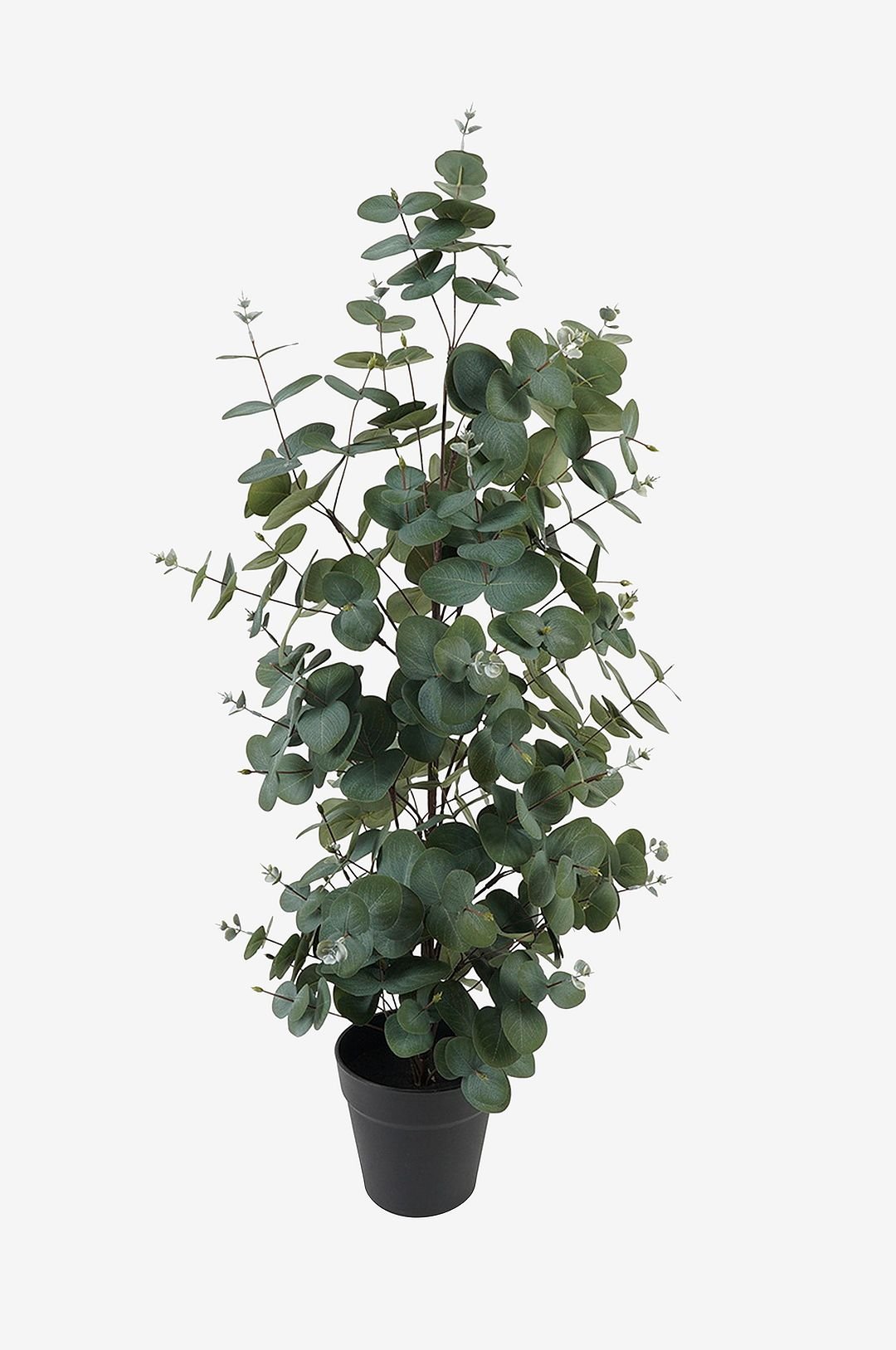 Tekokasvi Eucalyptus Leaf Large