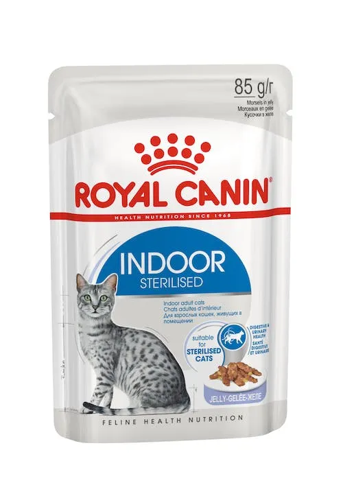 Royal Canin Indoor Sterilised Morsels in Jelly, Kissan märkäruoka, Adult, 12 x 85 g