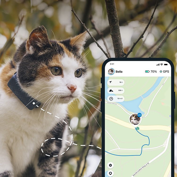 GPS-seurantalaite kissalle, Tractive