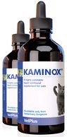 Kaminox 60 ml