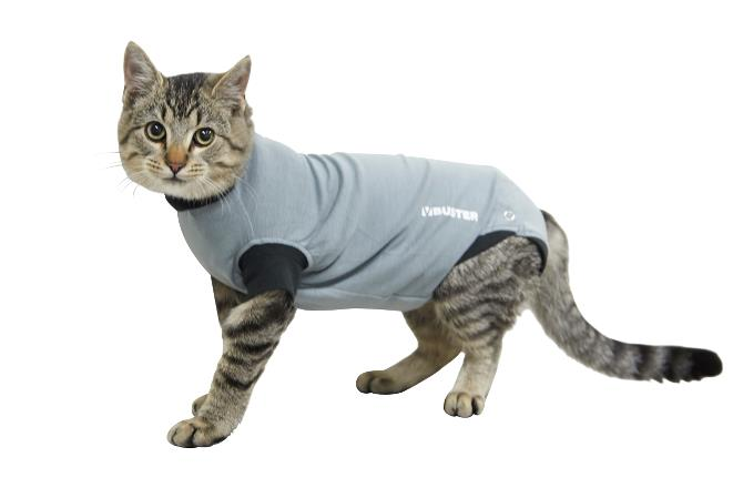 BUSTER BodySuit EasyGo cats 27,5cm XXXS 1 kpl