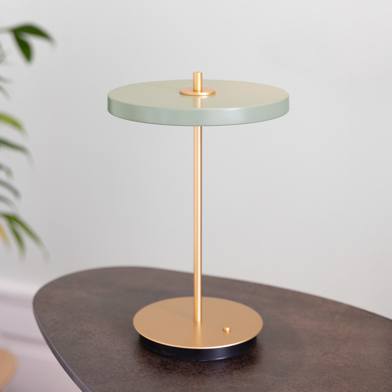 Asteria Move LED-akkukäyttöinen pöytälamppu oliivi/messinki 31 cm