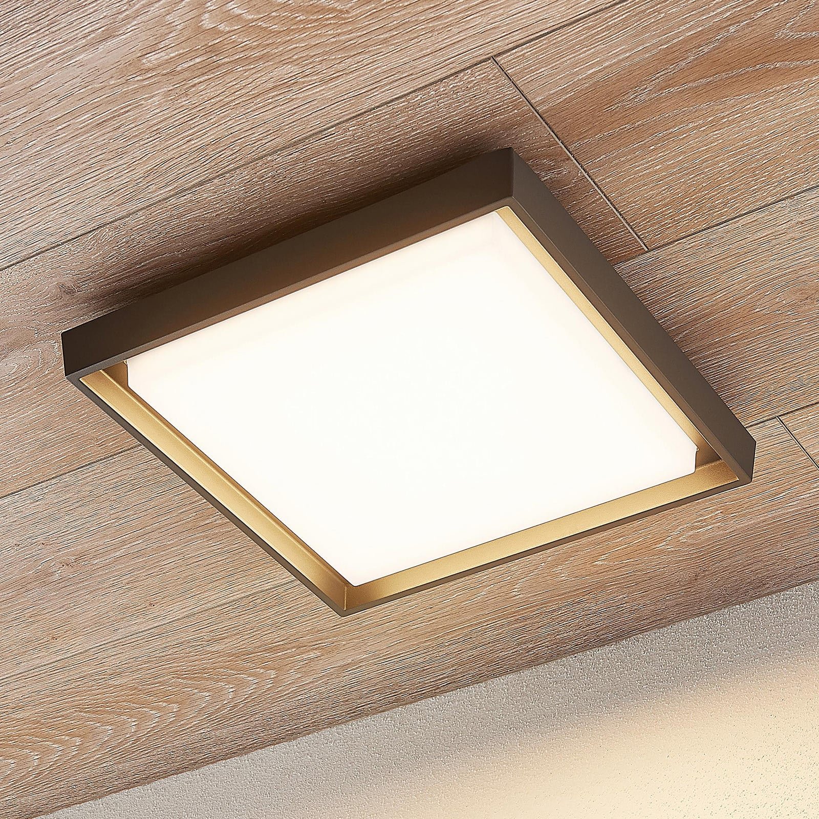 Birta LED-ulkokattolamppu tummanharmaa IP54 34 cm
