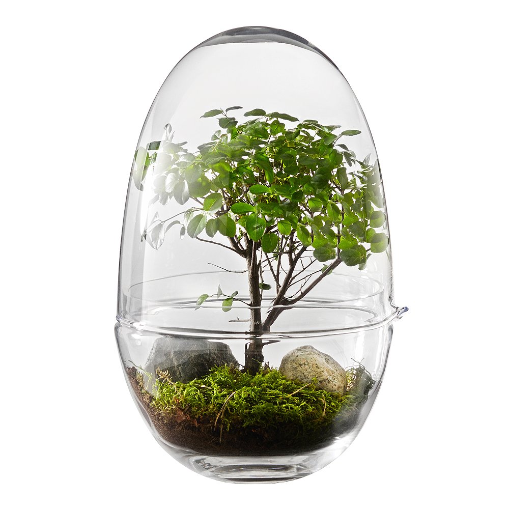 Grow Kasvihuone Large / Suuri 32 cm