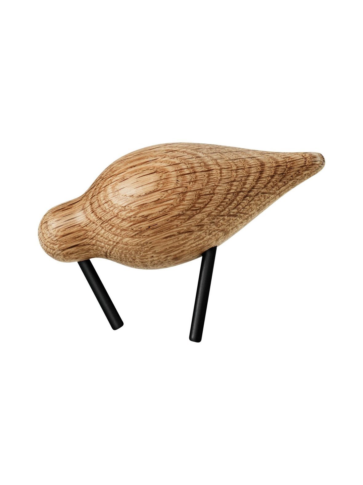 Shorebird-lintufiguuri, s