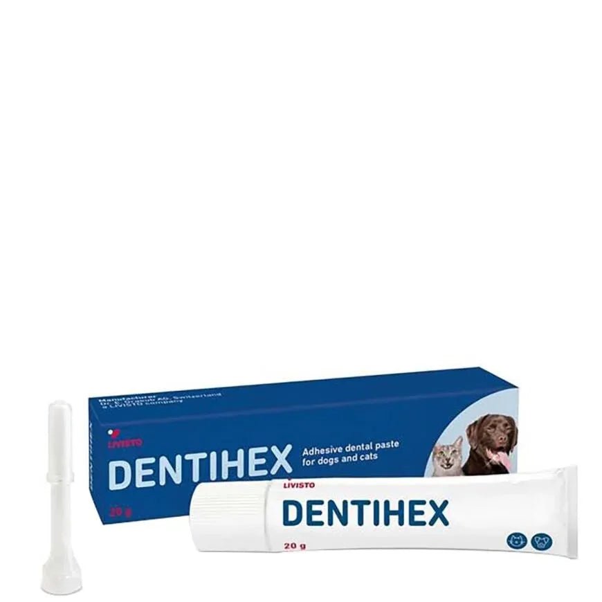 Dentihex Kiinnittyvä Hammasgeeli Koirille ja Kissoille 20 g