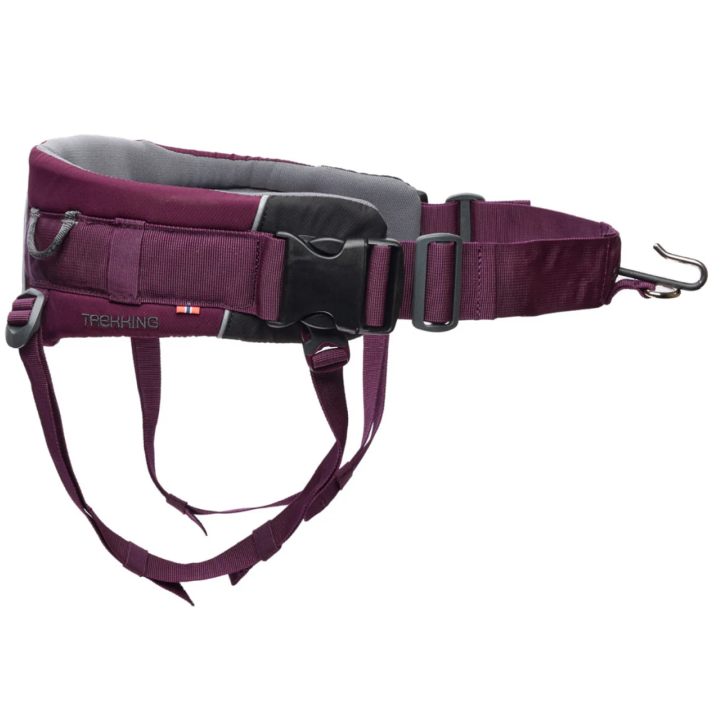 Non-stop dogwear Trekking Belt 2.0 Purple