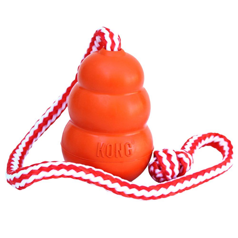 Kong Aqua L 10X7Cm Orange