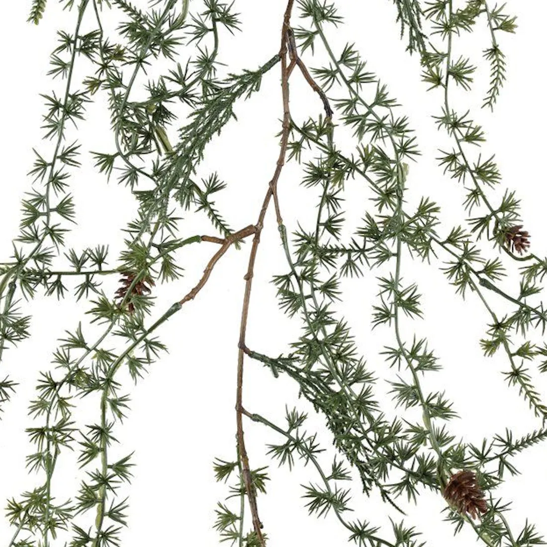 Winteria Havuköynnös 160cm